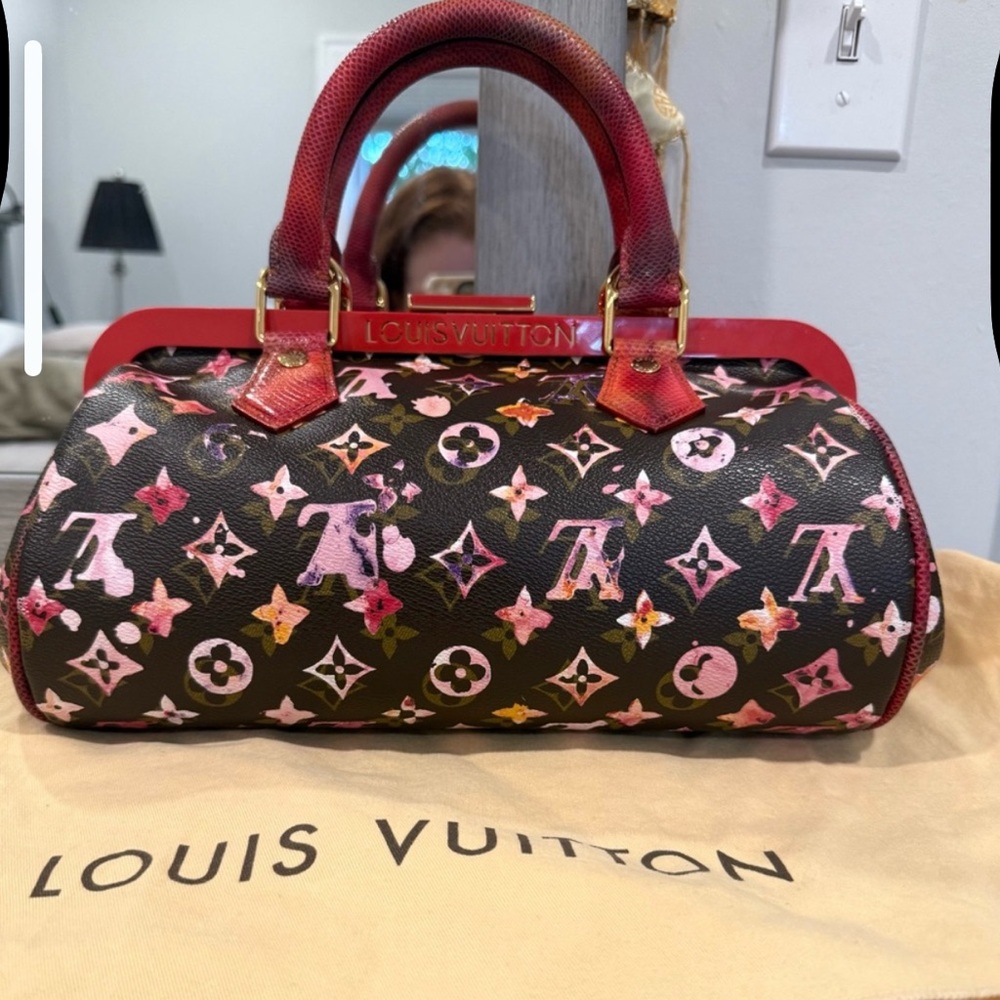 Louis Vuitton Spring 2008 Runway Python Aquarelle Papillon Bag - Picture 7 of 10
